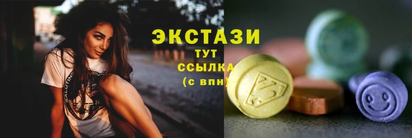 МДПВ Богородск