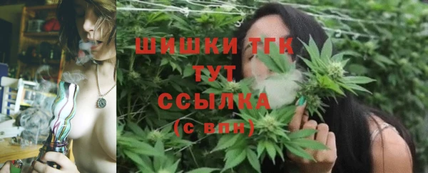 МДПВ Богородск